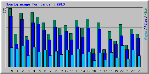Hourly usage for January 2013