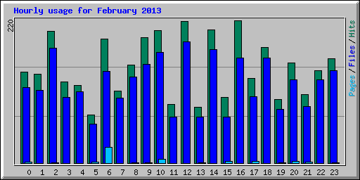 Hourly usage for February 2013