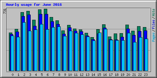 Hourly usage for June 2016