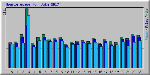 Hourly usage for July 2017