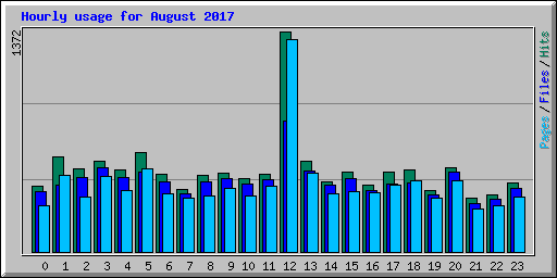 Hourly usage for August 2017