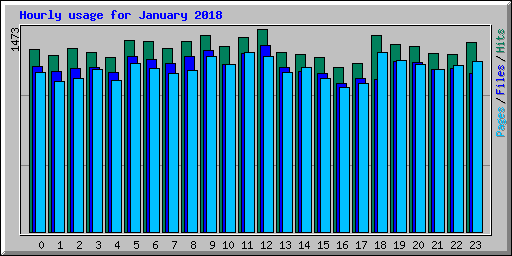 Hourly usage for January 2018
